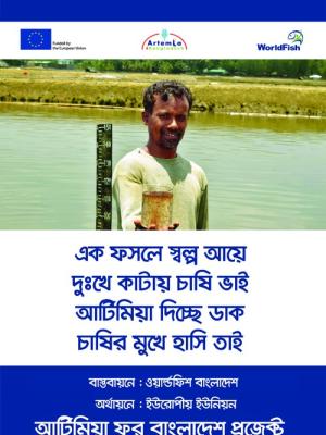 Festoon (Artemia 01) for Training and Workshops of Artemia4Bangladesh project