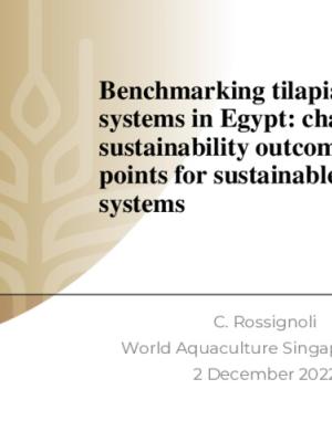 Benchmarking tilapia aquaculture systems in Egypt: characteristics, sustainability outcomes and entry points for sustainable aquatic food systems