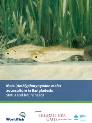 Mola (Amblypharyngodon mola) aquaculture in Bangladesh: Status and future needs