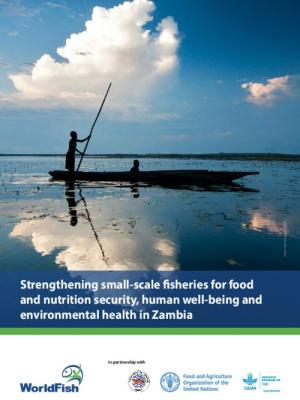 Strengthening small-scale fisheries for food and nutrition security, human well-being and environmental health in Zambia