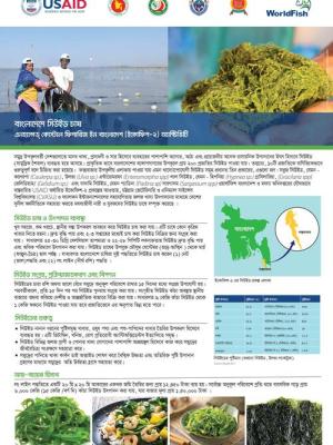 Seaweed