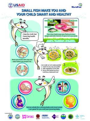 Fish for Livelihoods: Mola comic story