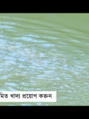 Video on Climate Risk Reduction in Aquaculture