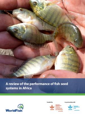A review of the performance of fish seed systems in Africa