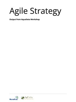 Agile Strategy: Output from AquaData Workshop