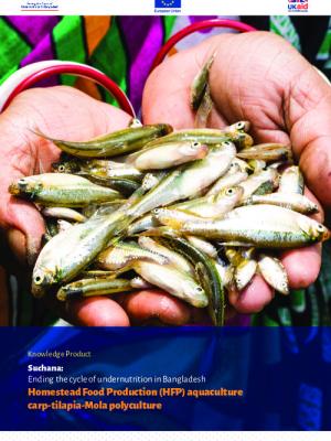 Suchana: Ending the cycle of undernutrition in Bangladesh. Homestead Food Production (HFP) aquaculture carp-tilapia-Mola polyculture