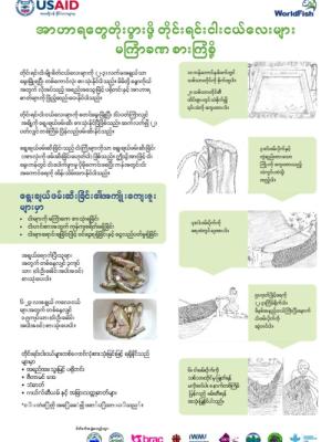 Fish for Livelihoods: SIS partial harvest (Burmese version)