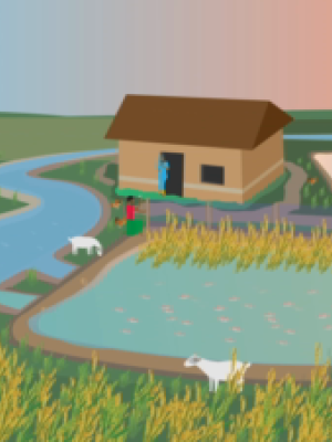 Antimicrobial Resistance Awareness Animation Video