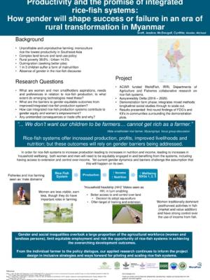 Productivity and the promise of integrated rice-fish systems: How gender will shape success or failure in an era of rural transformation in Myanmar