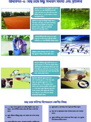 Festoon on common problems and solutions in aquaculture