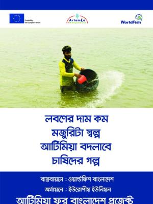 Festoon (Artemia 04) for Training and Workshops of Artemia4Bangladesh project