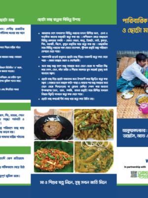 Family Nutrition and the Importance of Small Fish