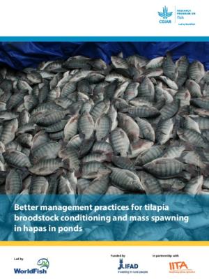 Better management practices for tilapia broodstock conditioning and mass spawning in hapas in ponds