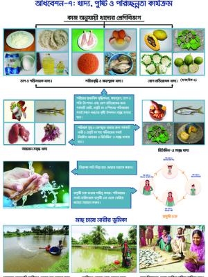 Festoon on food, nutrition and hygiene