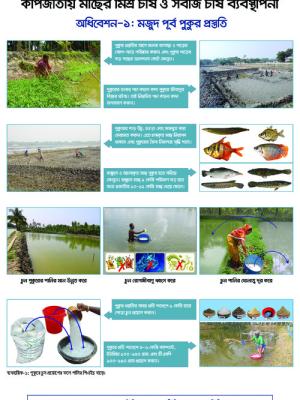 Festoon on carp mix culture and vegetable cultivation