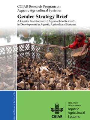 Gender strategy brief: A gender transformative approach to research in development in aquatic agricultural systems
