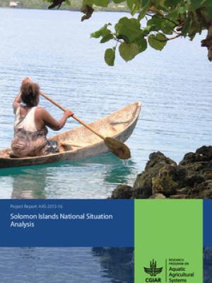 Solomon Islands national situation analysis