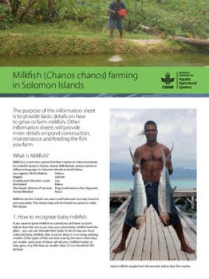 Milkfish (Chanos chanos) farming in Solomon Islands