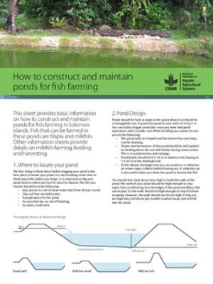How to construct and maintain ponds for fish farming