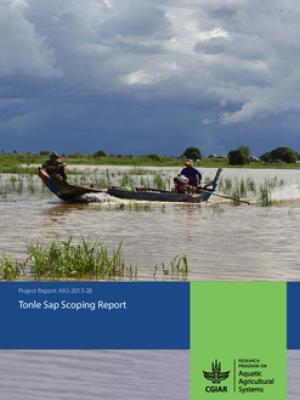 Tonle Sap scoping report
