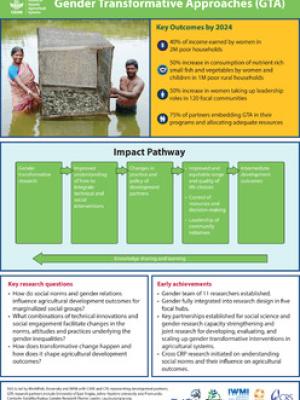 Gender Transformative Approaches (GTA)