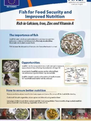 Fish for food security and improved nutrition: Rich in calcium, iron, zinc and vitamin A