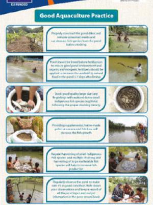 Good aquaculture practice