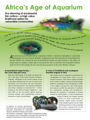 Africa's age of aquarium : the dawning of ornamental fish culture - a high value livelihood option for vulnerable communities