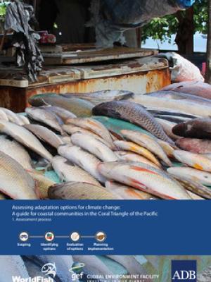 Assessing adaptation options for climate change: A guide for coastal communities in the Coral Triangle of the Pacific. 1. Assessment process