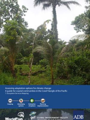 Assessing adaptation options for climate change: A guide for coastal communities in the Coral Triangle of the Pacific. 7. Ecosystem services mapping