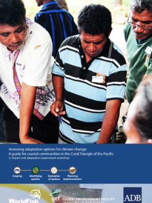 Assessing adaptation options for climate change: A guide for coastal communities in the Coral Triangle of the Pacific. 3. Impact and adaptation assessment workshop