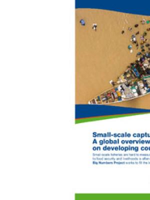 Small-scale capture fisheries: a global overview with emphasis on developing countries: a preliminary report of the Big Numbers Project