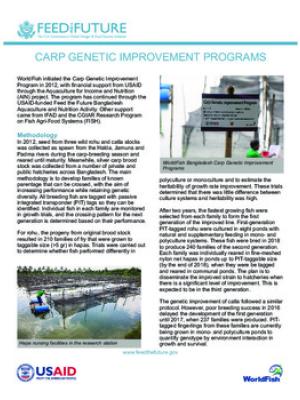 Carp Genetic Improvement Programs