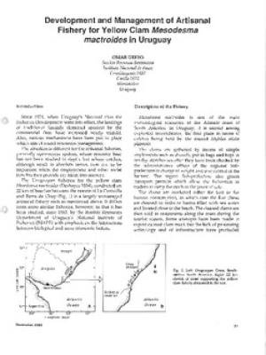 Development and management of artisanal fishery for yellow clam Mesodesma mactroides in Uruguay