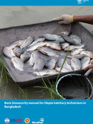 Basic biosecurity manual for tilapia hatchery technicians in Bangladesh
