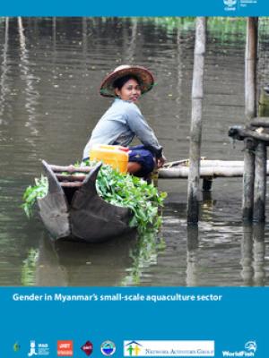 Gender in Myanmar’s small-scale aquaculture sector
