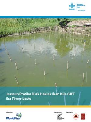 Jestaun Pratika Diak Hakiak Ikan Nila GIFT iha Timor-Leste