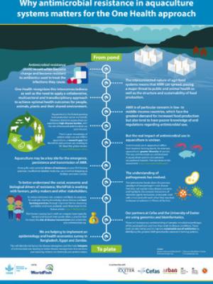Why antimicrobial resistance in aquaculture systems matters for the One Health approach