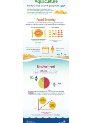 Fish for a food secure and prosperous Egypt