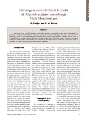 Heterogeneous individual growth of Macrobrachium rosenbergii male morphotypes
