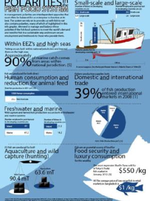 Polarities in the Fish Food System