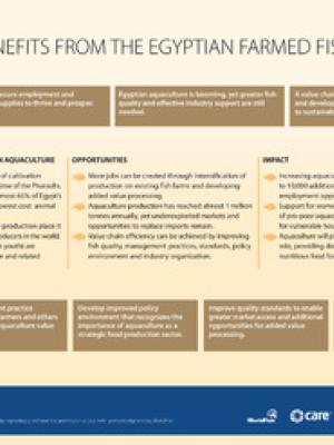 Optimizing benefits from the Egyptian farmed fish value chain