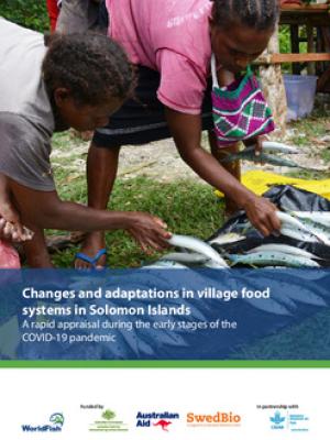 Changes and adaptations in village food systems in Solomon Islands: A rapid appraisal during the early stages of the COVID-19 pandemic