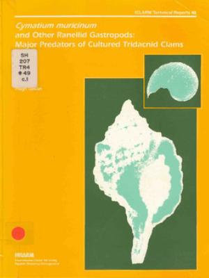 Cymatium muricinum and other ranellid gastropods: major predators of cultured tridacnid clams