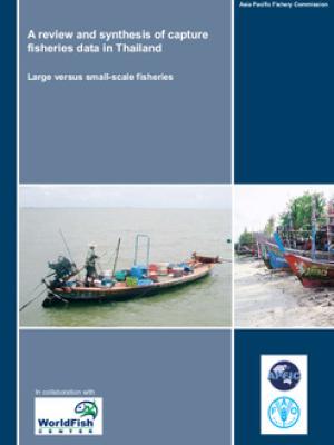 A review and synthesis of capture fisheries data in Thailand: large versus small-scale fisheries