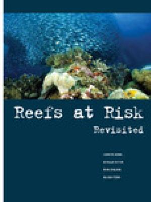 Reefs at risk revisited