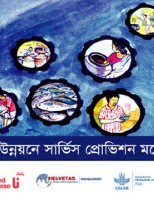 Tekshoyi unnoyon e service provision model (Service provision model in sustainable development)