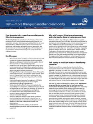 Fish - more than just another commodity