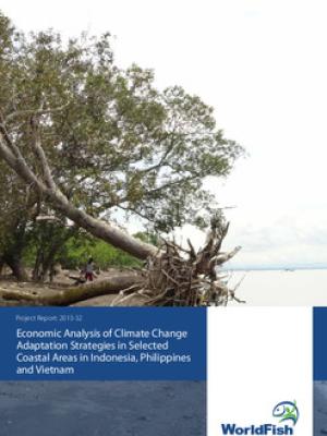 Economic analysis of climate change adaptation strategies in selected coastal areas in Indonesia, Philippines and Vietnam