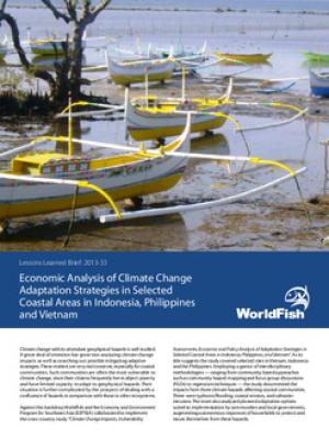 Economic analysis of climate change adaptation strategies in selected coastal areas in Indonesia, Philippines and Vietnam